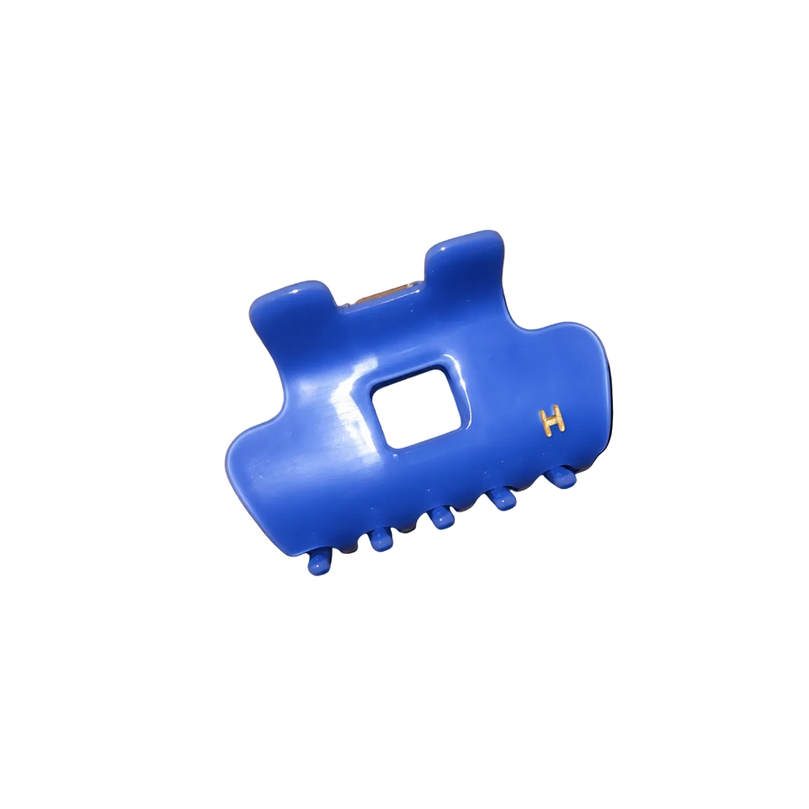 Mini H Blue Berry